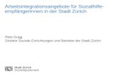 Mindestsicherung und Arbeitsmarktintegration in der Steiermark Fachtagung vom 3. März 2008 - Seite 1 Stadt Zürich Sozialdepartement Arbeitsintegrationsangebote.