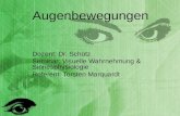Augenbewegungen Dozent: Dr. Schütz Seminar: Visuelle Wahrnehmung & Sinnesphysiologie Referent: Torsten Marquardt.