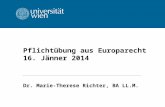 Pflichtübung aus Europarecht 16. Jänner 2014 Dr. Marie-Therese Richter, BA LL.M.
