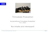 Trimediale Produktion Seite 1 Prof. J. WALTER swr4-2003 Trimediale Produktion Stand: Juni 2003 Trimediale Produktion Kurzanleitung Trimediale Produktion.