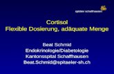 Cortisol Flexible Dosierung, adäquate Menge Beat Schmid Endokrinologie/Diabetologie Kantonsspital Schaffhausen Beat.Schmid@spitaeler-sh.ch spitäler schaffhausen.