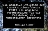 Die adaptive Evolution des Transkriptionsfaktors FOXP2 als mögliche Voraussetzung für die Entstehung des menschlichen Sprechens Dominique Kaspar.