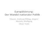 Europäisierung: Der Wandel nationaler Politik Maurer, Andreas/Mittag, Jürgen/ Wessels, Wolfgang Oliver Treib.