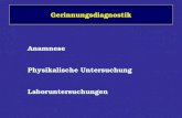 Gerinnungsdiagnostik Anamnese Physikalische Untersuchung Laboruntersuchungen.