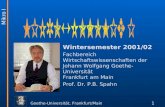 Goethe-Universität, Frankfurt/Main 1 Wintersemester 2001/02 Fachbereich Wirtschaftswissenschaften der Johann Wolfgang Goethe-Universität Frankfurt am Main.