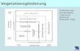 ÖkologieVegetationsgliederung Grobschema der klimabedingten Vegetations- gliederung (Schroeder 1998)
