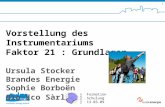 SuisseEnergie pour les communes 1 Formation Schulung 13.03.09 Vorstellung des Instrumentariums Faktor 21 : Grundlagen Ursula Stocker Brandes Energie Sophie.