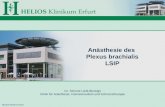 HELIOS Klinikum Erfurt Dr. Simone Liebl-Biereige Klinik für Anästhesie, Intensivmedizin und Schmerztherapie Anästhesie des Plexus brachialis LSIP.