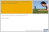 Řízení zdrojů společnosti a nákladů na energie řešením SAP Pavel Hrabě, Business Consulting, SAP ČR červen 2008.