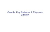 Oracle 11g Release 2 Express Edition. Inhalte von Oracle 11g.2 XE Datenbankserver Database Home Page: webbasierte Administration, Tabellenhandling, div.