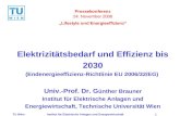 TU WienInstitut für Elektrische Anlagen und Energiewirtschaft1 Elektrizitätsbedarf und Effizienz bis 2030 (Endenergieeffizienz-Richtlinie EU 2006/32/EG)