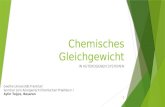 Chemisches Gleichgewicht IN HETEROGENEN SYSTEMEN Goethe Universität Frankfurt Seminar zum Anorganisch Chemischen Praktikum I Aylin Tuğçe, Başaran 1.