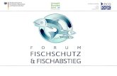 2 Forschungs- und Entwicklungsvorhaben im Umweltforschungsplans des Bundes (UFOPLAN)  Titel: "Forum Fischschutz und Fischabstieg„  Forschungskennzahl: