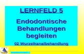All Copyrights by P.-A. Oster ® LERNFELD 5 Endodontische Behandlungen begleiten 02 Wurzelkanalbehandlung.