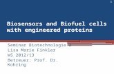 Biosensors and Biofuel cells with engineered proteins Seminar Biotechnologie 2 Lisa Marie Finkler WS 2012/13 Betreuer: Prof. Dr. Kohring 1.
