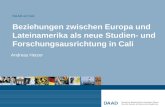 Beziehungen zwischen Europa und Lateinamerika als neue Studien- und Forschungsausrichtung in Cali Andreas Hetzer DAAD en Cali.