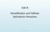 SGB IX Rehabilitation und Teilhabe behinderter Menschen powered by Semmler Media1.
