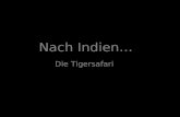 Nach Indien… Die Tigersafari. Nach Mexiko… Die Tauchaktion.