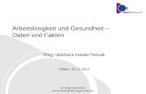 14. Österreichischer Gesundheitsförderungskonferenz Arbeitslosigkeit und Gesundheit – Daten und Fakten Mag. a Barbara Haider-Novak Villach, 22.11.2012.