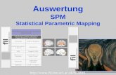 Auswertung SPM Statistical Parametric Mapping .