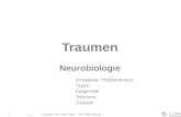 Traumen und ihre Folgen – Dr. Peter Schopf 1 Folie 1 Traumen Neurobiologie Amygdala / Hippocampus Typen Epigenetik Telomere Oxitocin.
