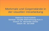 Merkmale und Gegenstände in der visuellen Verarbeitung Referent: David Ketterle Seminar: Visuelle Wahrnehmung Kurs A Dozent: Dr. Alexander Schütz Datum: