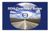 SDH Overhead Bytes