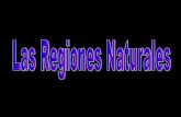 REGIONES NATURALES DE AMÉRICA