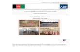 Afghan Slaughterhouse Pre-Feasibility Study ADB-RBSP November 2008