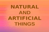 Natural and Artificial Things