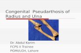 Congenital Psudoarthosis of Radius,Ulna,Clavicle,Congenital Dislocation Radial Head