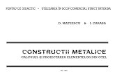 Constructii Metalice 1 - Dan Mateescu
