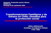 Transformaciones Familiares y de Género en Chile: Desafíos para la protección social IRMA ARRIAGADA Socióloga, Investigadora visitante CEM- Chile Seminario.