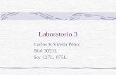 Laboratorio 3 Carlos R Virella Pérez Biol 3051L Sec 127L, 075L.