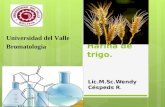 Harina de trigo. Lic.M.Sc.Wendy Céspeds R. Universidad del Valle Bromatologia.