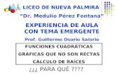 LICEO DE NUEVA PALMIRA “Dr. Medulio Pérez Fontana” EXPERIENCIA DE AULA CON TEMA EMERGENTE Prof. Guillermo Osorio Salorio FUNCIONES CUADRÁTICAS GRÁFICAS.
