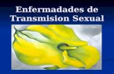 Enfermadades de Transmision Sexual. Anatomía reproductiva femenina.