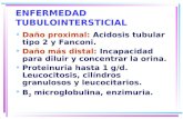 ENFERMEDAD TUBULOINTERSTICIAL Daño proximal: Acidosis tubular tipo 2 y Fanconi. Daño más distal: Incapacidad para diluir y concentrar la orina. Proteinuria.