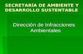 SECRETARÍA DE AMBIENTE Y DESARROLLO SUSTENTABLE Dirección de Infracciones Ambientales.