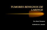 TUMORES BENIGNOS DE LARINGE Dra. María Thompson Fundación H.A. Barcelo.