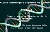 Instituto tecnológico superior de Champotón Biología Tema : bases moleculares de la herencia Alumno: Gabriel Alejandro Domínguez Solís M. C : CARLOS ANTONIO.