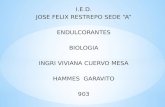 I.E.D. JOSE FELIX RESTREPO SEDE “A” ENDULCORANTES BIOLOGIA INGRI VIVIANA CUERVO MESA HAMMES GARAVITO 903.