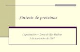 Síntesis de proteínas Capacitación – Zona de Río Piedras 3 de noviembre de 2007.