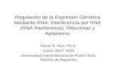 Regulación de la Expresión Genética Mediante RNA: Interferencia por RNA (RNA Interference), Ribozimas y Aptámeros Oscar N. Ruiz, Ph.D. Curso: BIOT 3250.