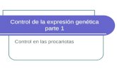 Control de la expresión genética parte 1 Control en las procariotas.