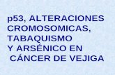 P53, ALTERACIONES CROMOSOMICAS, TABAQUISMO Y ARSÉNICO EN CÁNCER DE VEJIGA.
