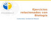 Ejercicios relacionados con Biología Contenidos: Unidad de Mitosis.