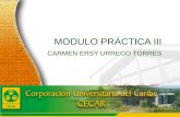 Www.ceat.cl MODULO PRÁCTICA III CARMEN ERSY URREGO TORRES 2005 Cuenta Anual Cuenta anual detallada en .