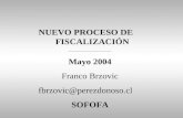 NUEVO PROCESO DE FISCALIZACIÓN ________________________ Mayo 2004 Franco Brzovic fbrzovic@perezdonoso.cl SOFOFA.