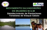 Establecimiento de Plantaciones Forestales de Bosque Salado.
